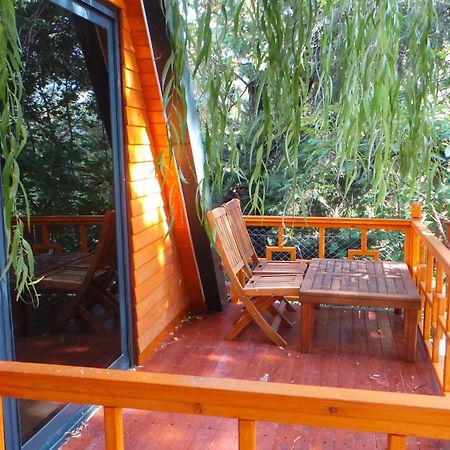 Trinitys Forest Bungalows Kemer Buitenkant foto
