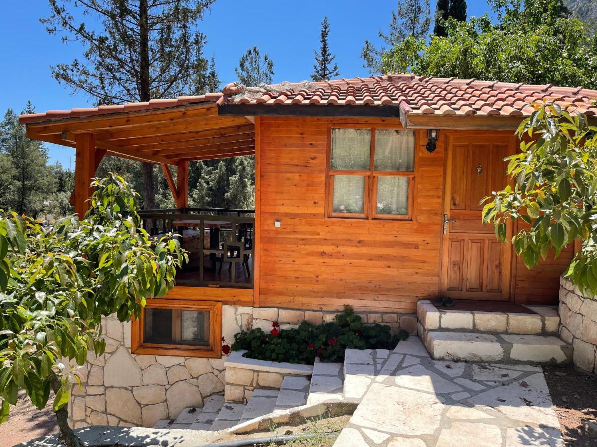 Trinitys Forest Bungalows Kemer Buitenkant foto