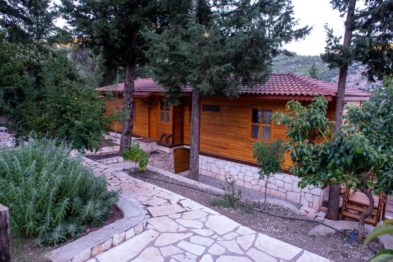 Trinitys Forest Bungalows Kemer Buitenkant foto