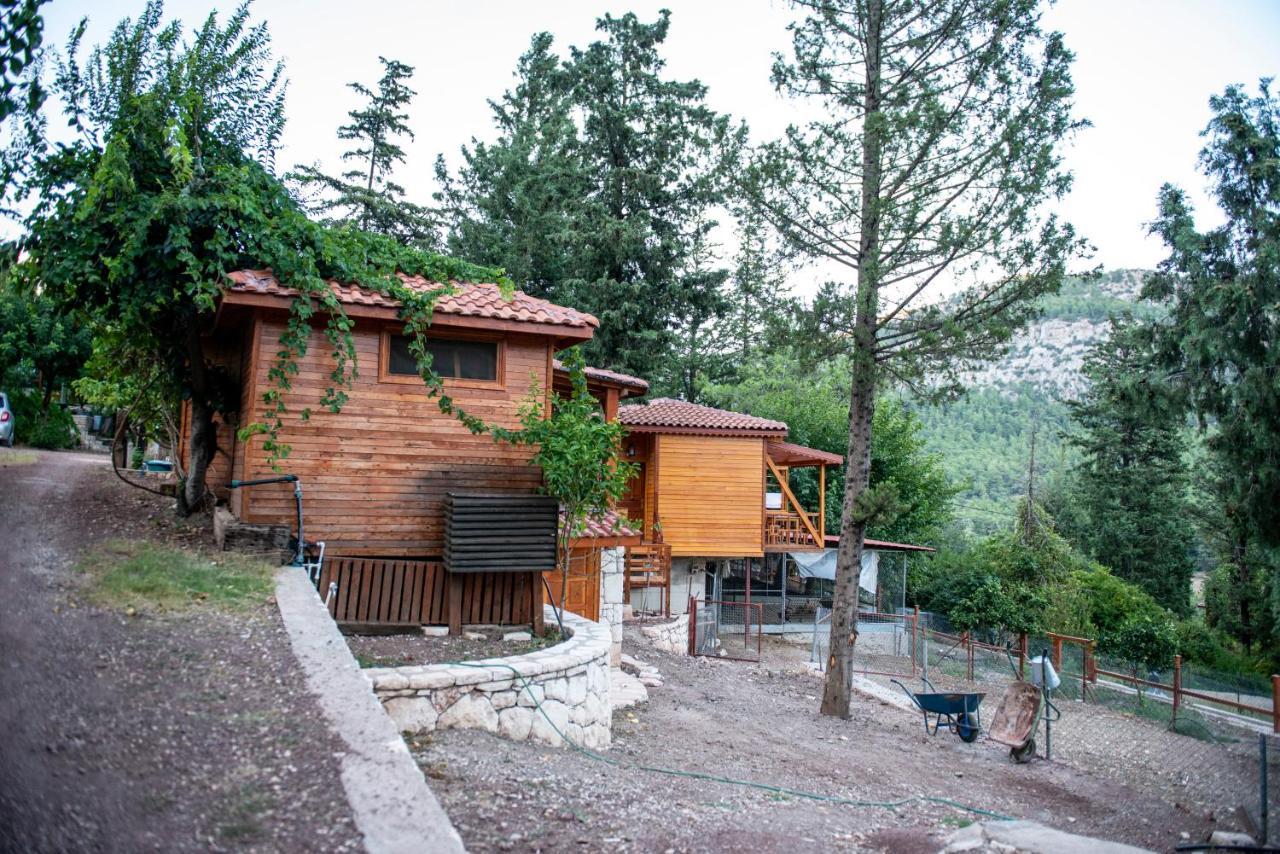 Trinitys Forest Bungalows Kemer Buitenkant foto