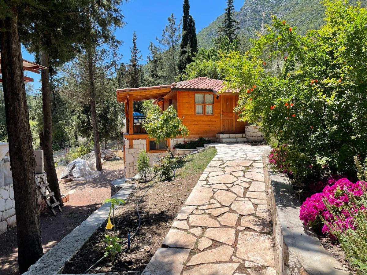 Trinitys Forest Bungalows Kemer Buitenkant foto