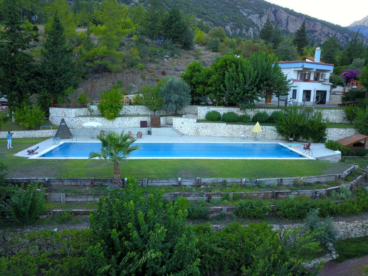 Trinitys Forest Bungalows Kemer Buitenkant foto