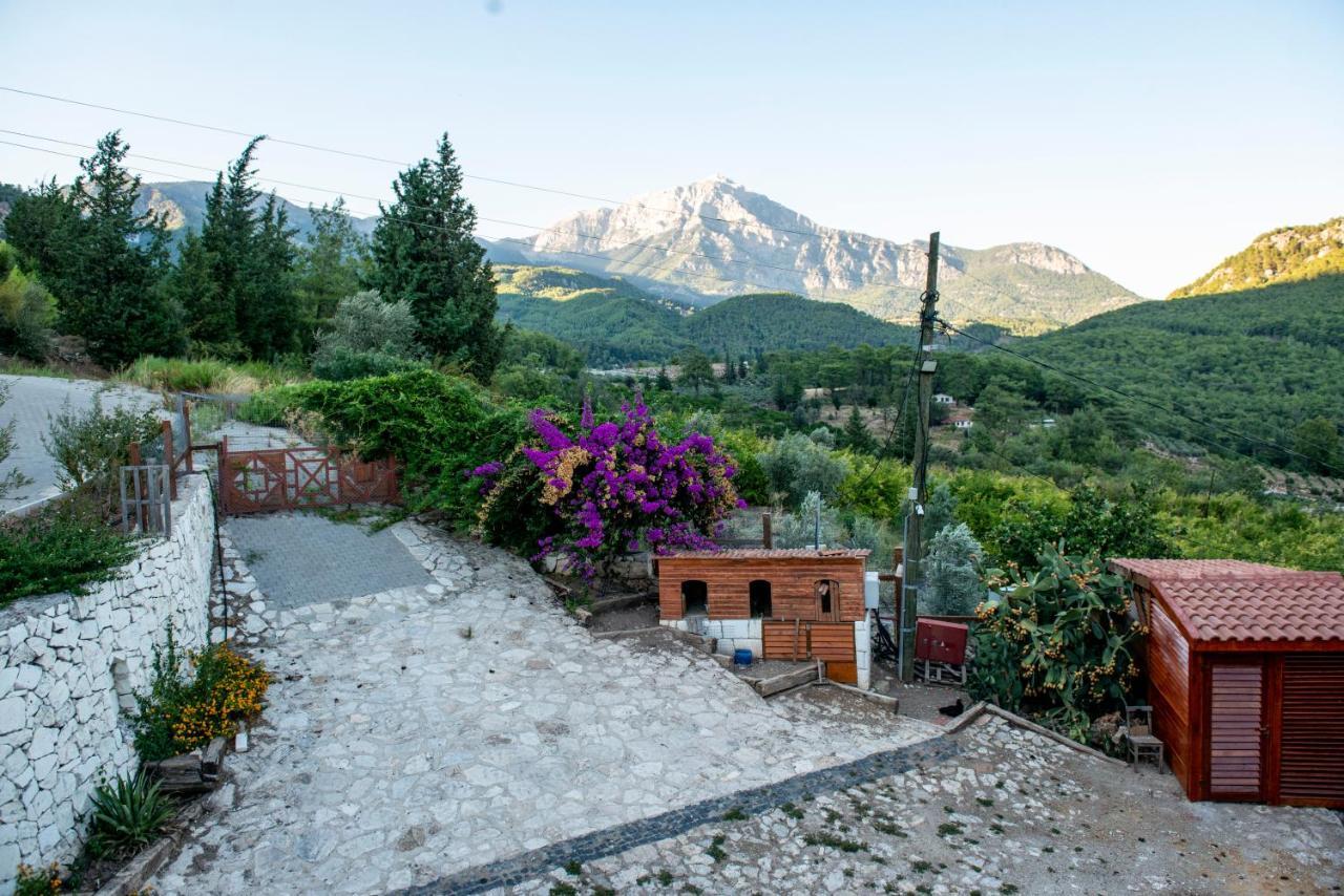 Trinitys Forest Bungalows Kemer Buitenkant foto