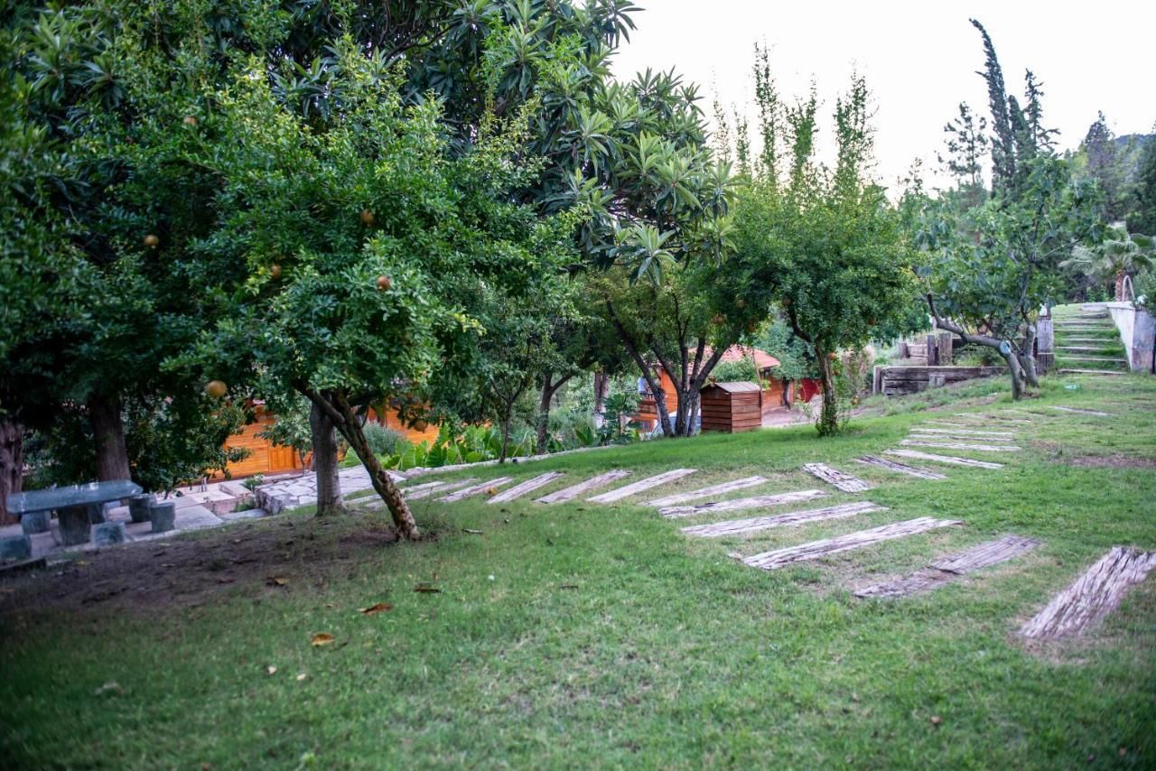 Trinitys Forest Bungalows Kemer Buitenkant foto