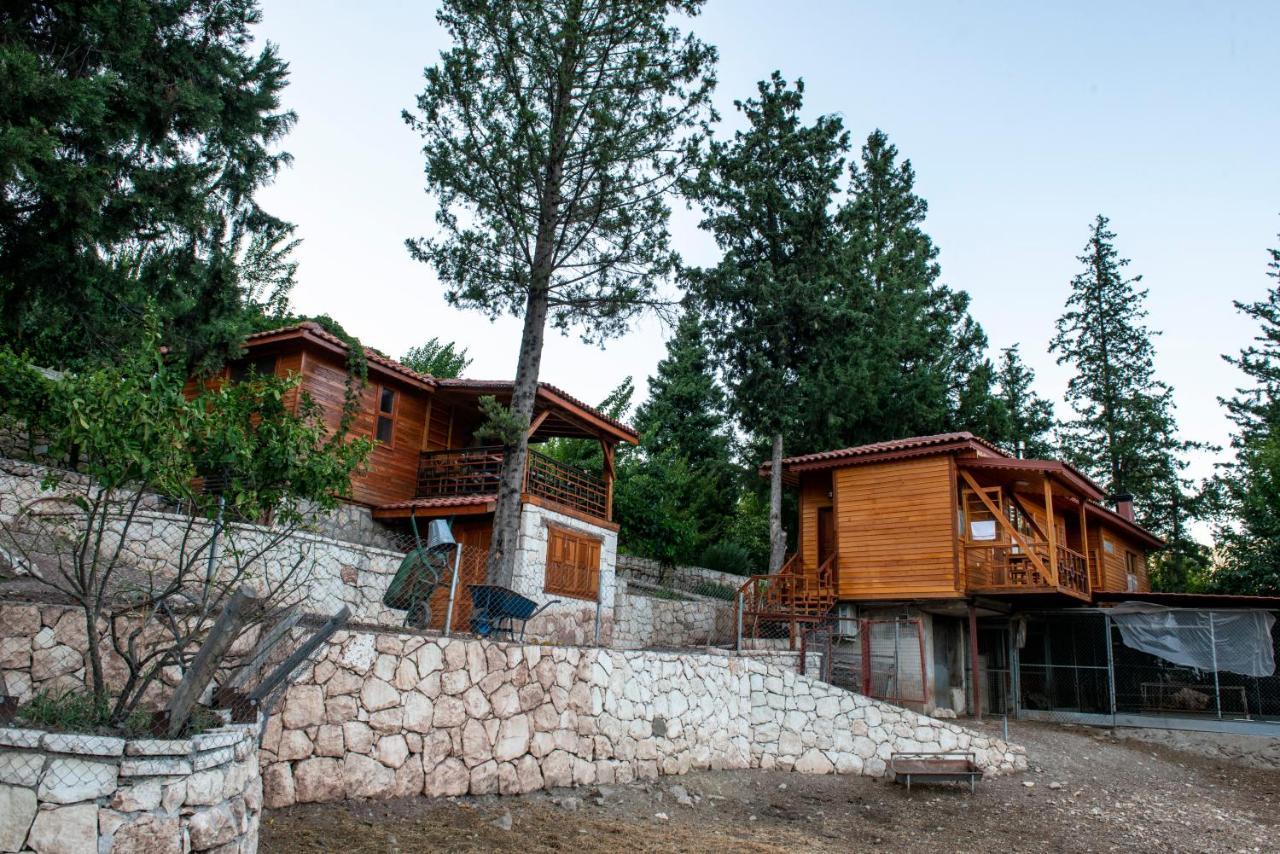 Trinitys Forest Bungalows Kemer Buitenkant foto