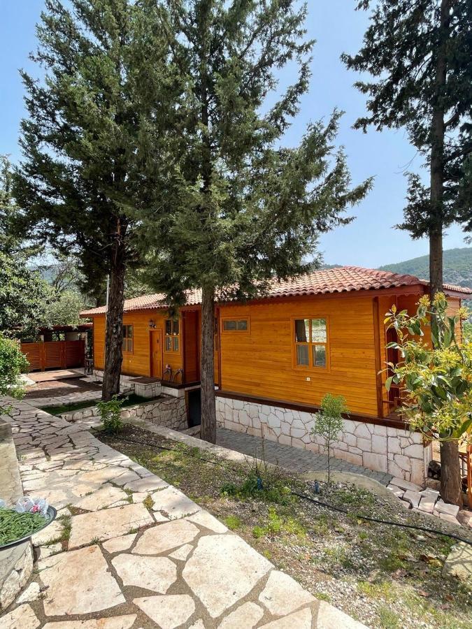 Trinitys Forest Bungalows Kemer Buitenkant foto