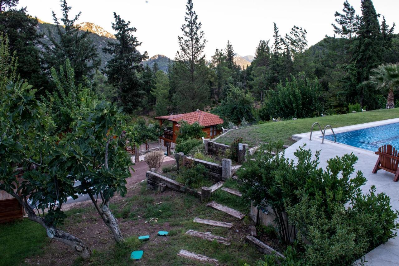 Trinitys Forest Bungalows Kemer Buitenkant foto