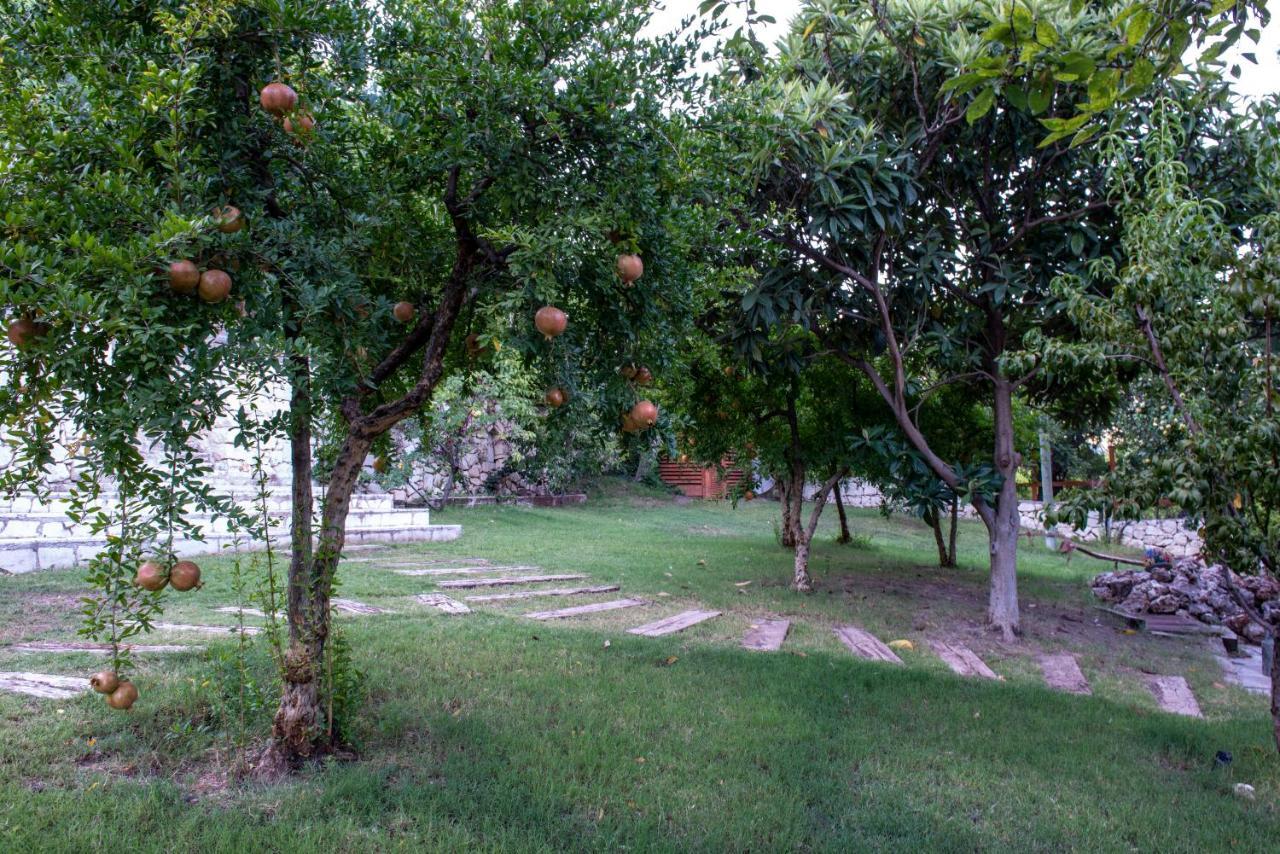 Trinitys Forest Bungalows Kemer Buitenkant foto
