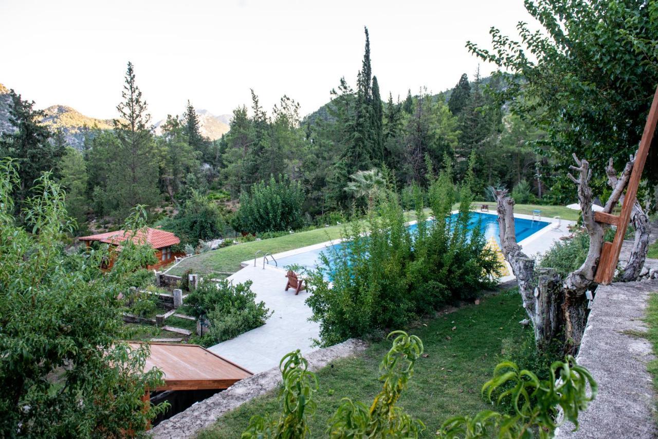 Trinitys Forest Bungalows Kemer Buitenkant foto