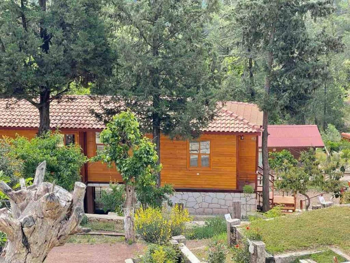 Trinitys Forest Bungalows Kemer Buitenkant foto