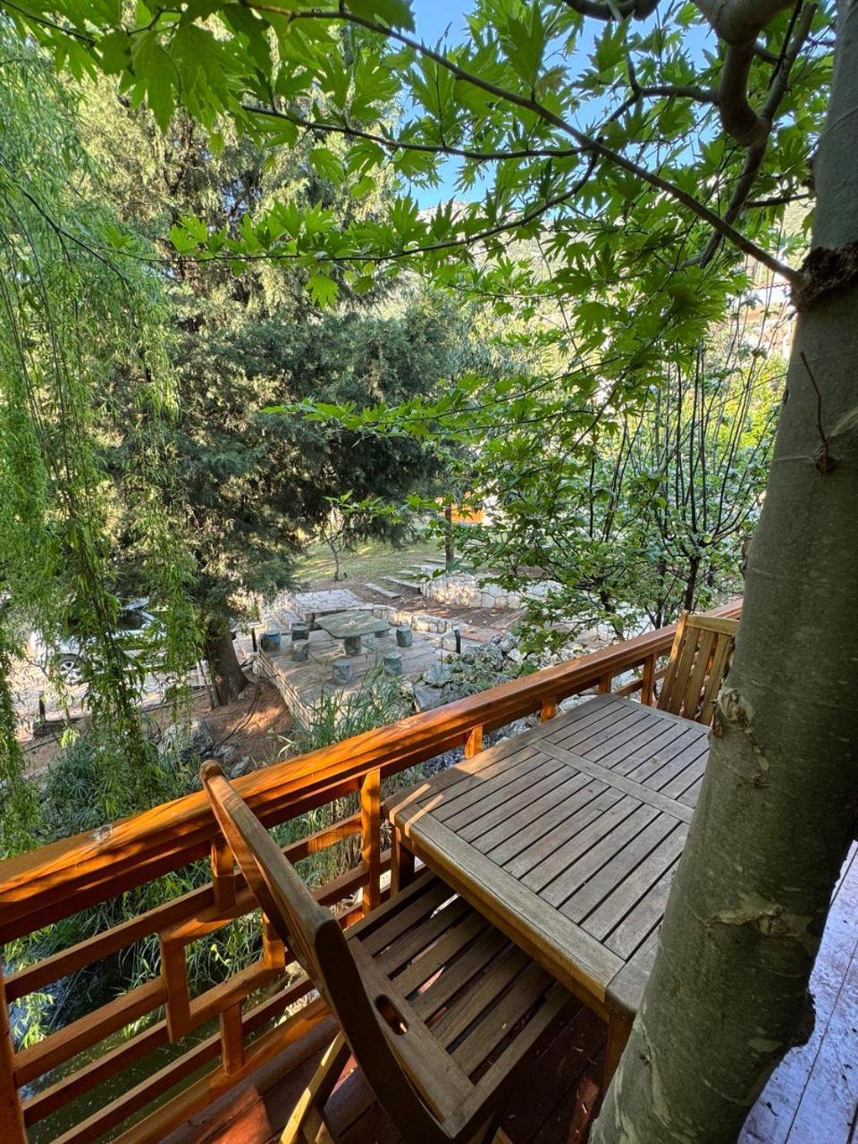 Trinitys Forest Bungalows Kemer Buitenkant foto