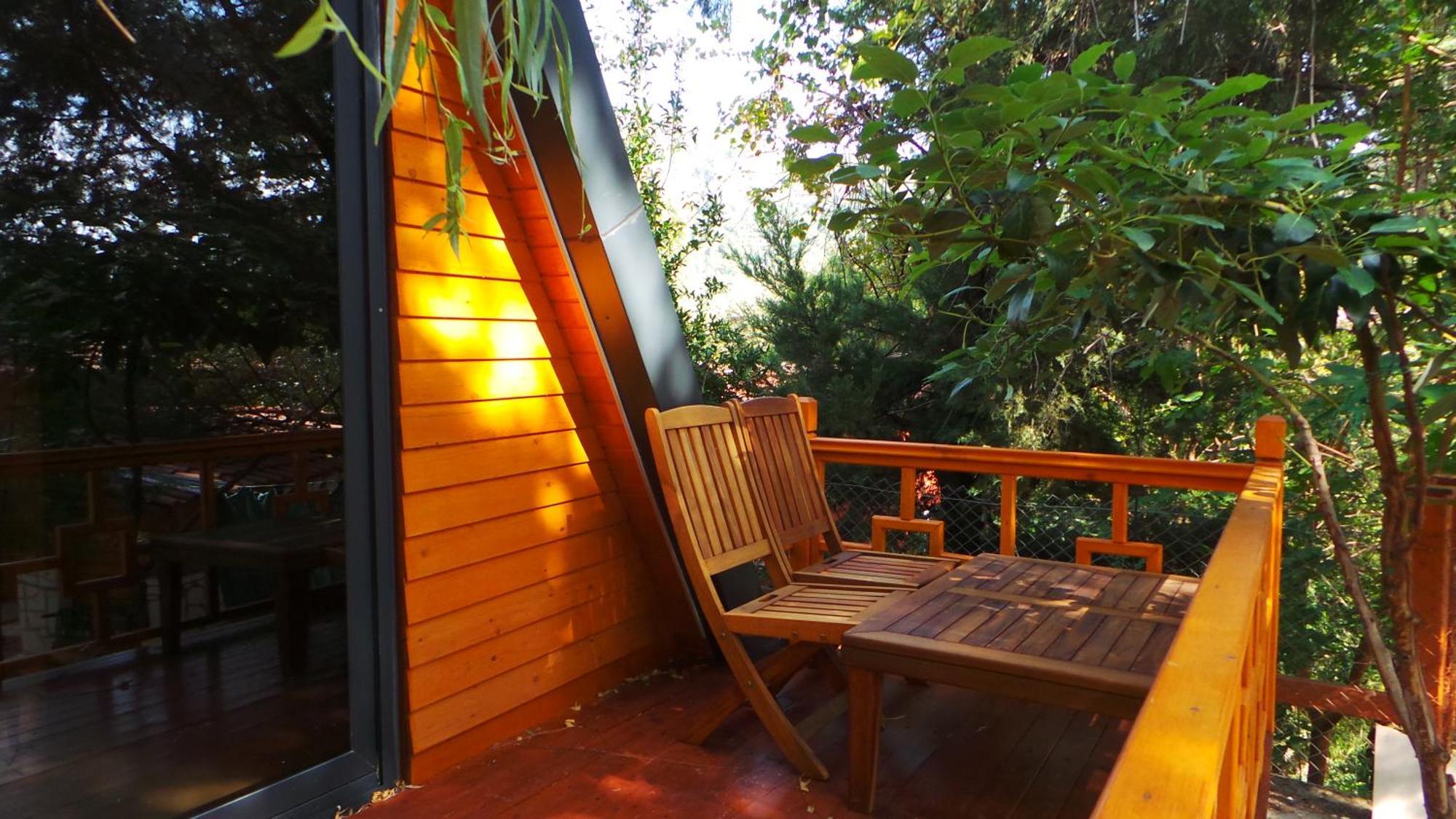 Trinitys Forest Bungalows Kemer Buitenkant foto